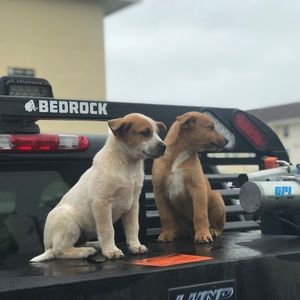 Meet your Posher, Christian